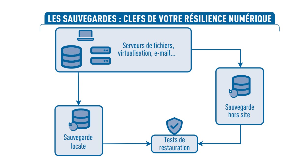 Les sauvegardes